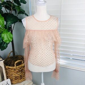 NWOT FOREVER 21 ROSE GOLD LONG SLEEVE SHEER TOP